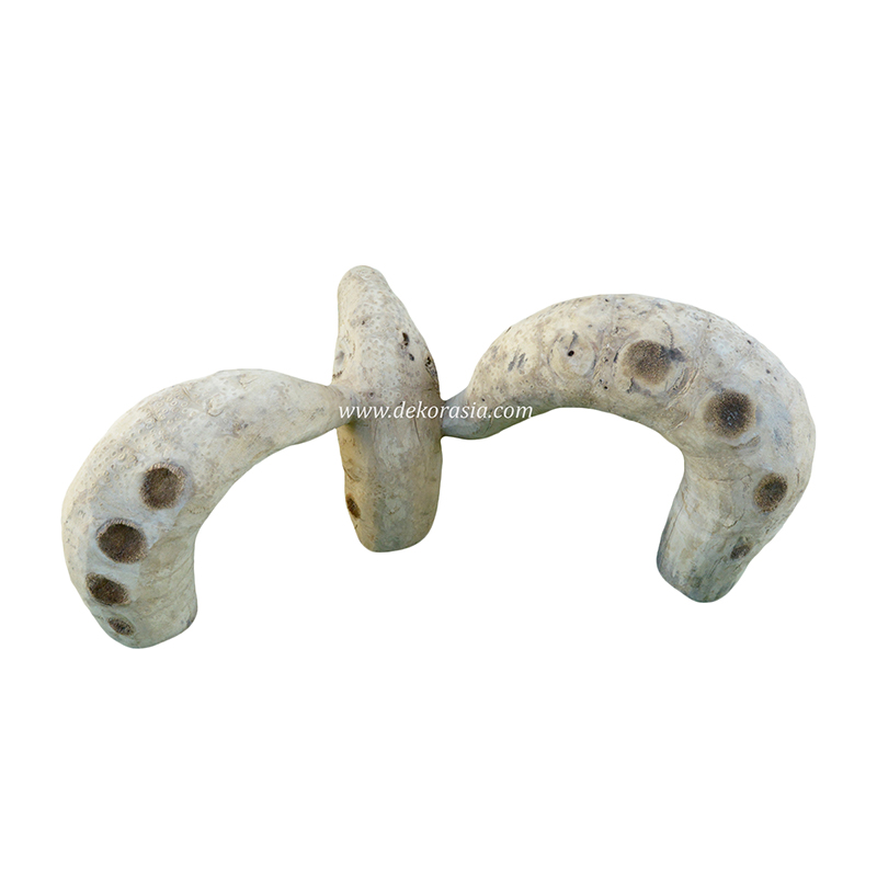 Bamboo Root (Size L), Vivariums Reptile, Aquarium, Aquascaping, Bamboo Root Decor Craft for Reptile